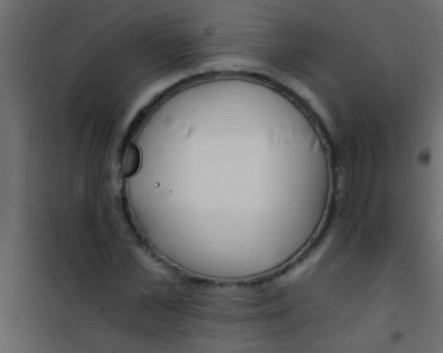 X0000101110973200807171932
