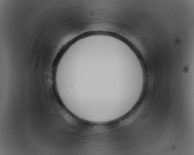 X0000101110974200807171932