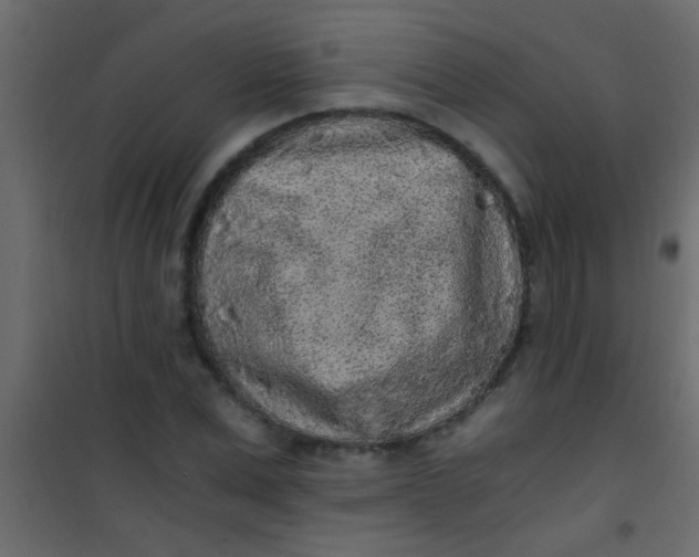 X0000101110975200807171932
