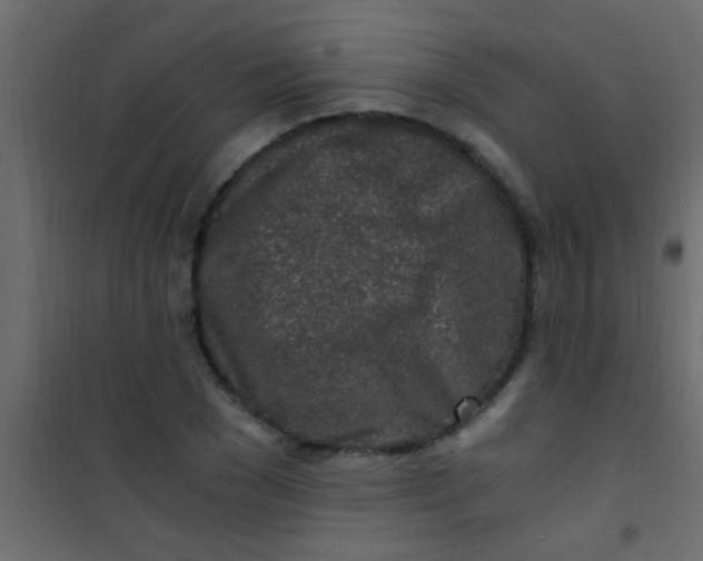 X0000101110977200807171932