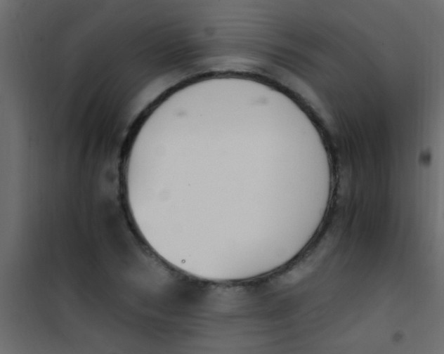 X0000101110978200807171932