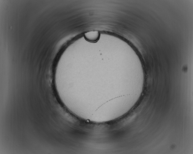 X0000101110979200807171932