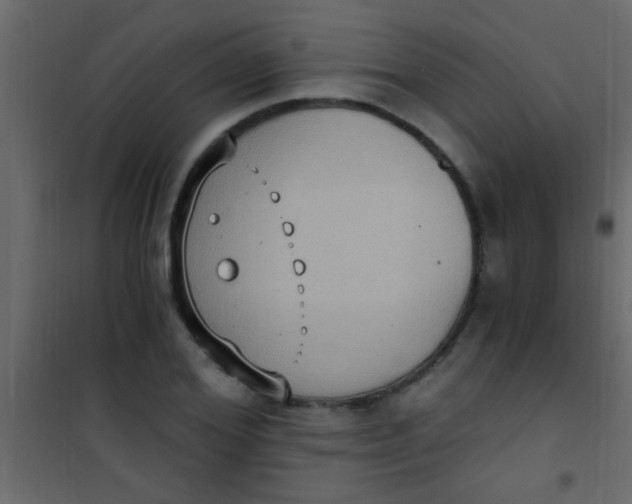 X0000101110980200807171932