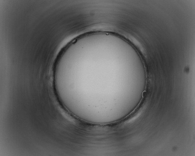 X0000101110981200807171932