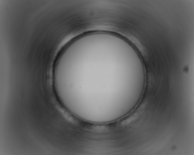 X0000101110982200807171932