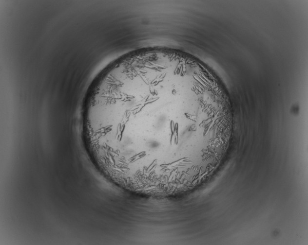 X0000101110983200807171932