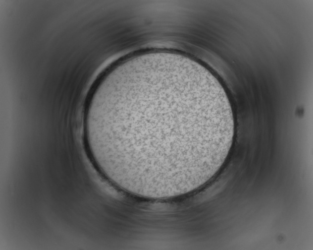 X0000101110984200807171932
