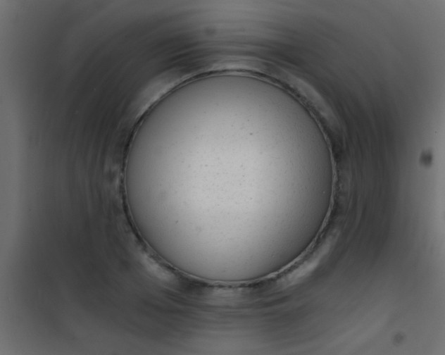 X0000101110985200807171932