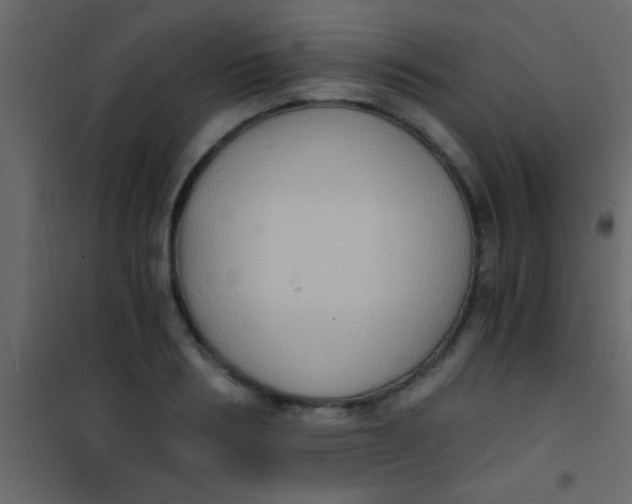 X0000101110986200807171932