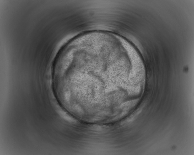 X0000101110987200807171932