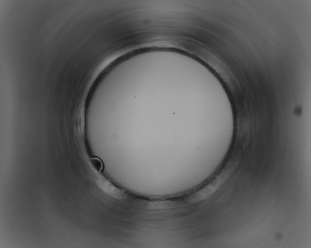 X0000101110988200807171932
