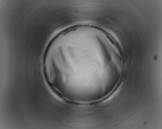 X0000101110989200807171932