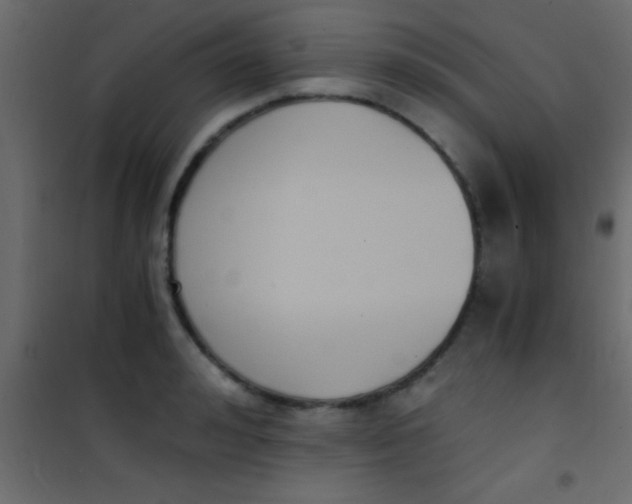 X0000101110992200807171932