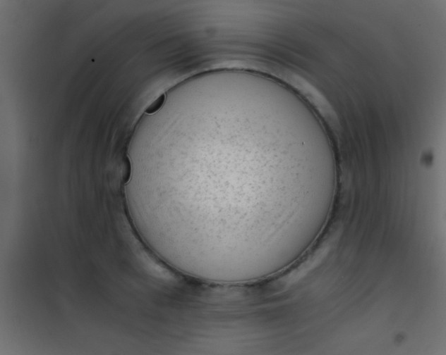 X0000101110993200807171932