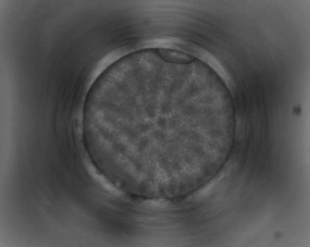 X0000101110994200807171932