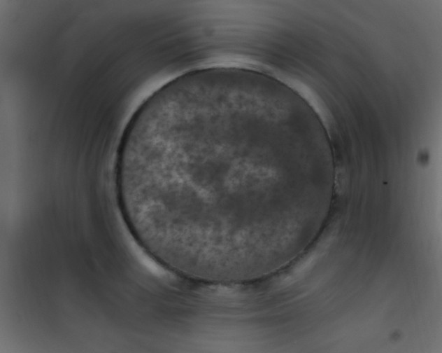 X0000101110995200807171932