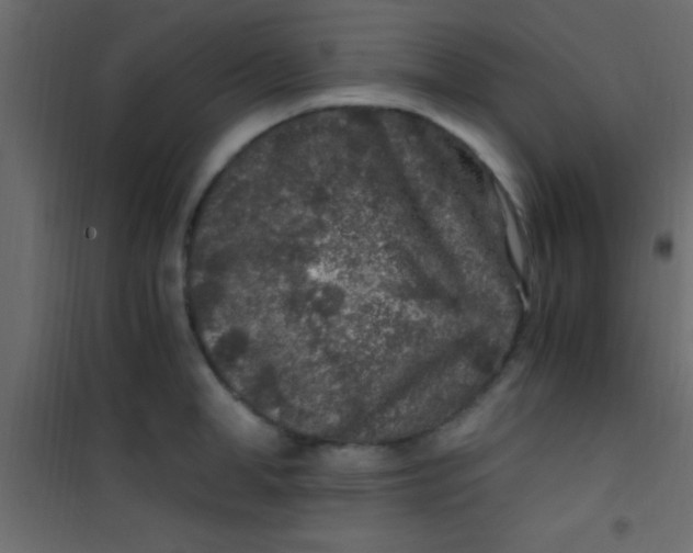 X0000101110998200807171932