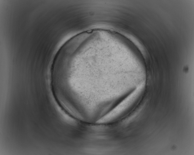 X0000101110999200807171932