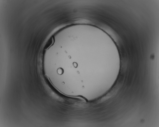 X0000101111000200807171932