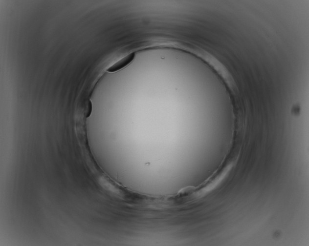X0000101111001200807171932