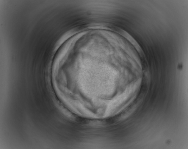 X0000101111002200807171932