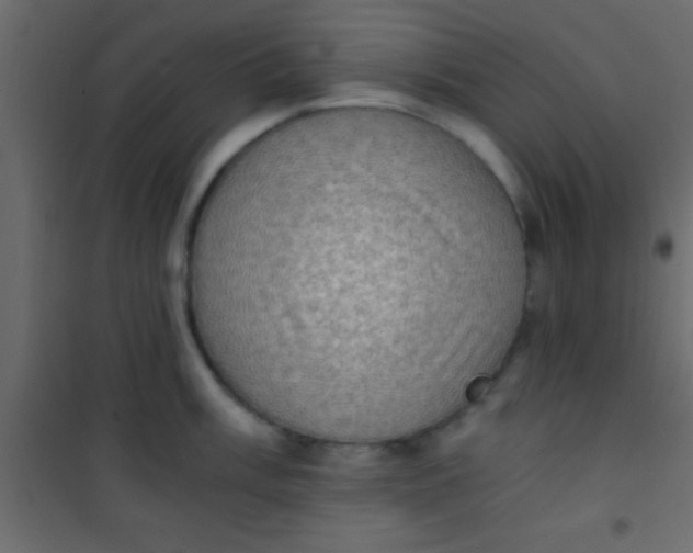 X0000101111003200807171932