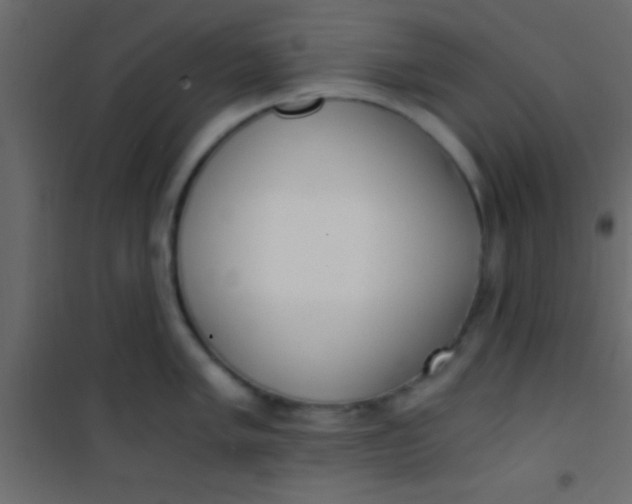 X0000101111005200807171932