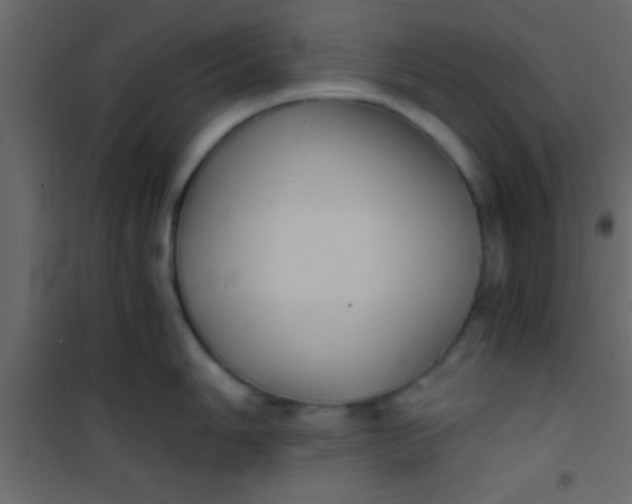 X0000101111006200807171932