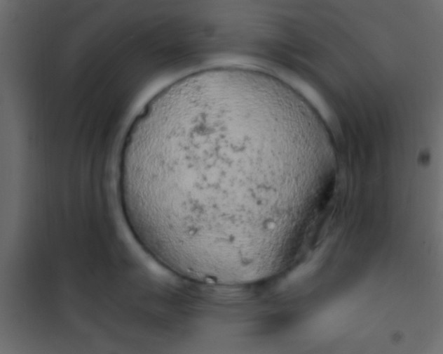 X0000101111007200807171932