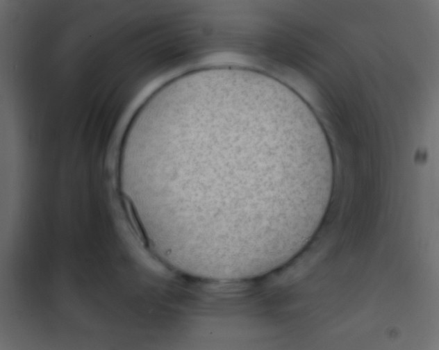 X0000101111008200807171932