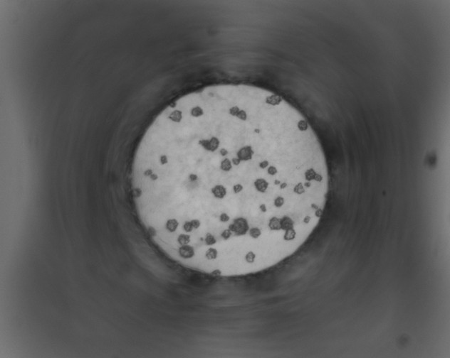X0000101111009200807171931