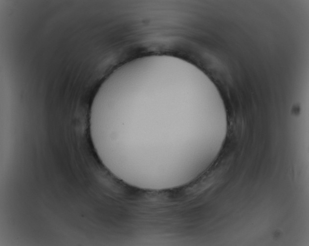 X0000101111012200807171931