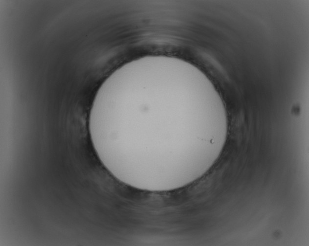 X0000101111013200807171931