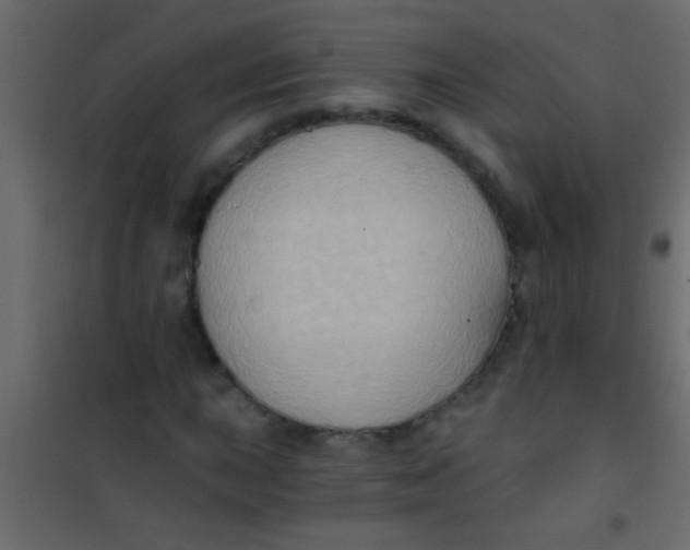 X0000101111015200807171931