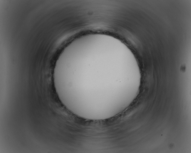 X0000101111016200807171931