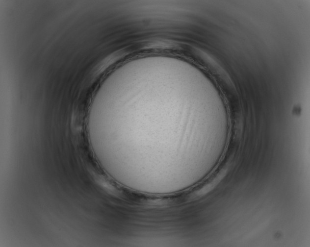X0000101111017200807171931