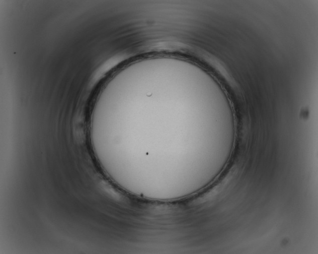 X0000101111018200807171931