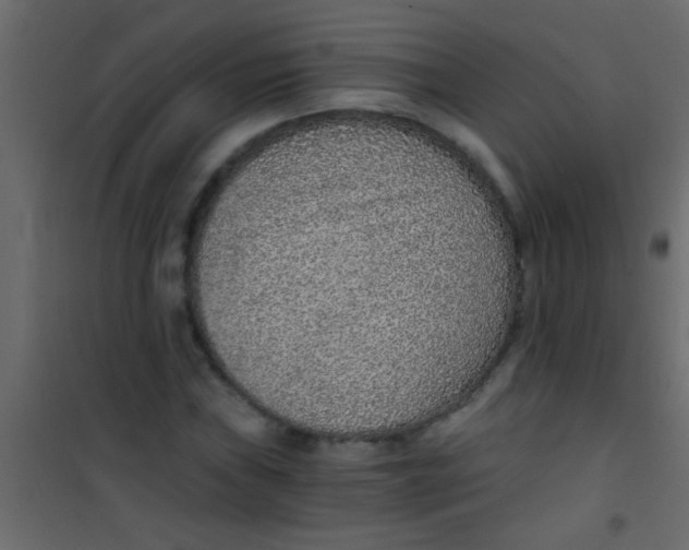X0000101111019200807171931