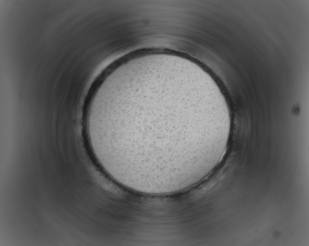 X0000101111020200807171931