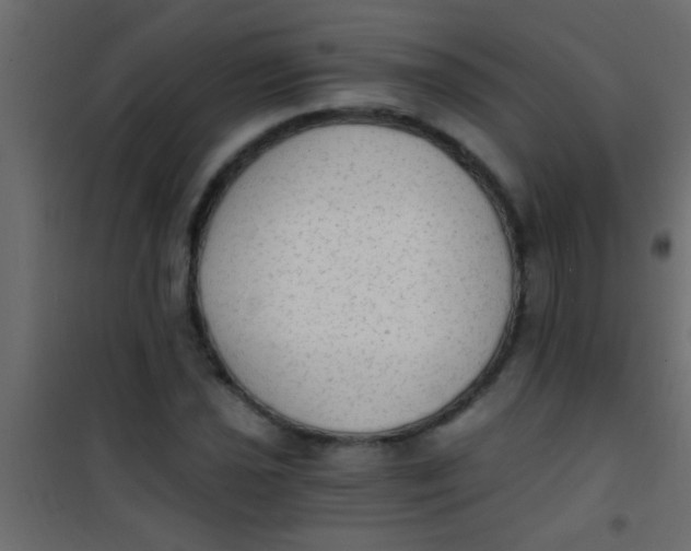 X0000101111021200807171931