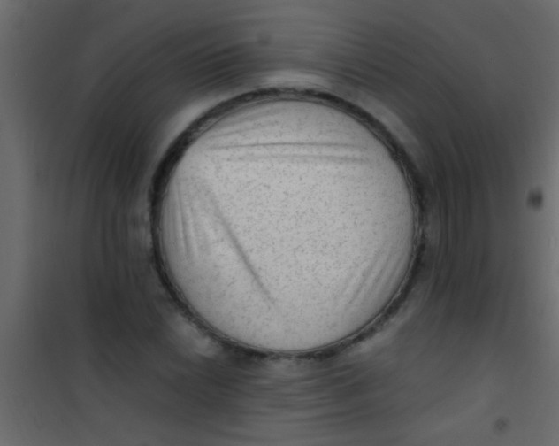 X0000101111022200807171931