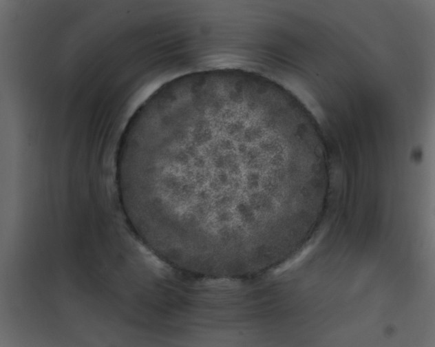X0000101111023200807171931