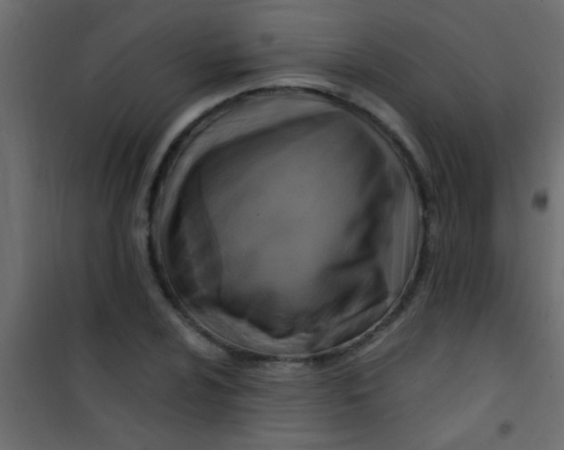 X0000101111024200807171931
