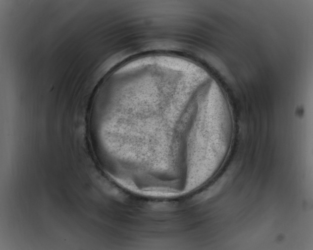 X0000101111025200807171931