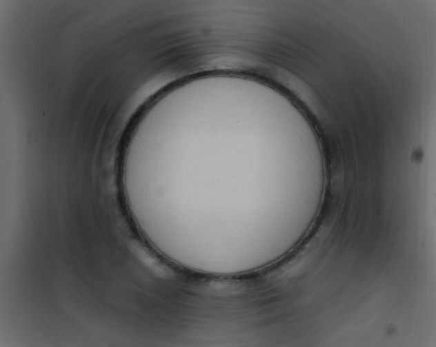 X0000101111026200807171931