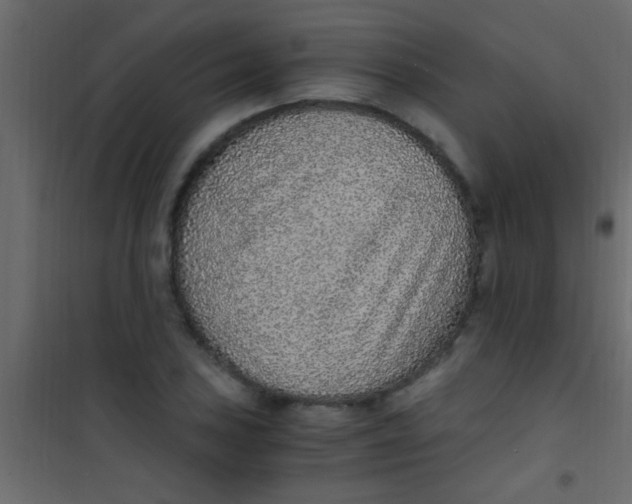 X0000101111027200807171931