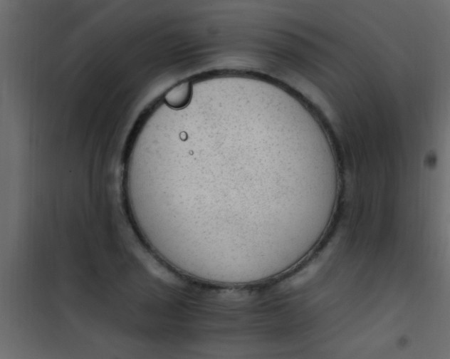 X0000101111029200807171931