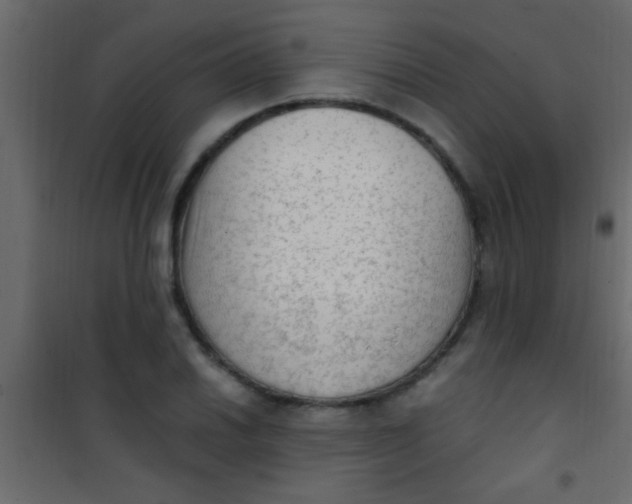 X0000101111030200807171931