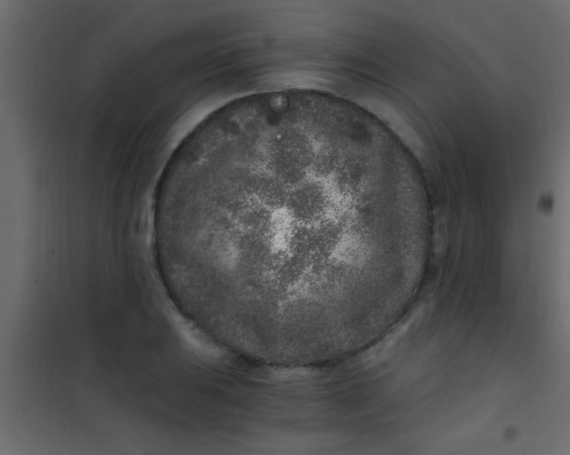 X0000101111031200807171931