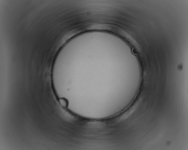 X0000101111033200807171931